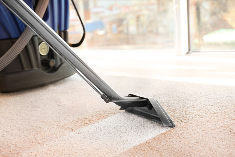 deep cleaning carpet